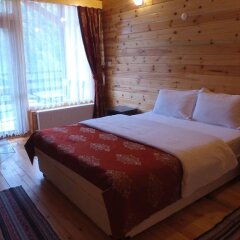 Abant Kartal Yuvasi Hotel Турция, Болу - отзывы, цены и фото номеров - забронировать отель Abant Kartal Yuvasi Hotel онлайн комната для гостей фото 5