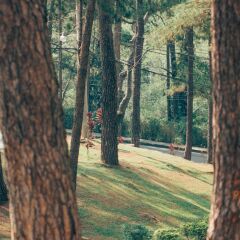 Отель Azalea Residences Baguio Филиппины, Багуйо - отзывы, цены и фото номеров - забронировать отель Azalea Residences Baguio онлайн приотельная территория