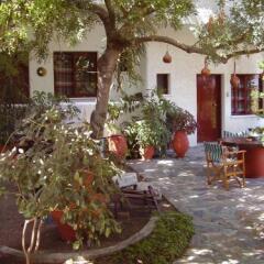 Summer Lodge in Agia Marina, Greece from 66$, photos, reviews - zenhotels.com photo 4