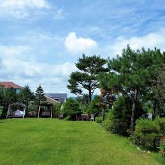 Отель Daegwalnyeong Beauty House Pension Южная Корея, Пхёнчан - отзывы, цены и фото номеров - забронировать отель Daegwalnyeong Beauty House Pension онлайн