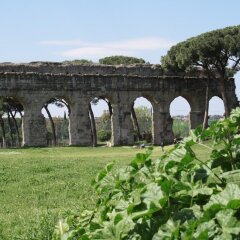 Отель Bella Roma Domus фото 4
