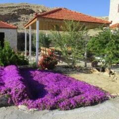Отель Petra Bed & Breakfast Иордания, Вади-Муса - отзывы, цены и фото номеров - забронировать отель Petra Bed & Breakfast онлайн