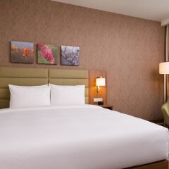 Гостиница Hilton Garden Inn Orenburg в Оренбурге 6 отзывов об отеле, цены и фото номеров - забронировать гостиницу Hilton Garden Inn Orenburg онлайн Оренбург комната для гостей