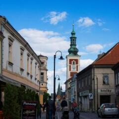 Отель Pension Union Сланы фото 7