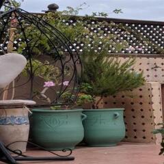 Отель Maison Aicha Марокко, Марракеш - отзывы, цены и фото номеров - забронировать отель Maison Aicha онлайн бассейн