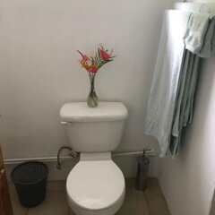 Cocoa Pod Studio in Soufriere, St. Lucia from 224$, photos, reviews - zenhotels.com bathroom photo 3
