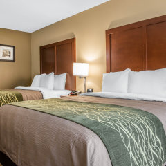 Comfort Inn and Suites in Pittsburgh, United States of America from 146$, photos, reviews - zenhotels.com guestroom photo 2