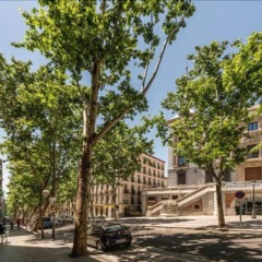 Отель Cozy Flat Plaza Mayor Мадрид