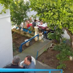 Fındık Pansıyon Турция, Измир - отзывы, цены и фото номеров - забронировать отель Fındık Pansıyon онлайн бассейн