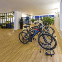 Hotel Playasol Maritimo спортивное сооружение