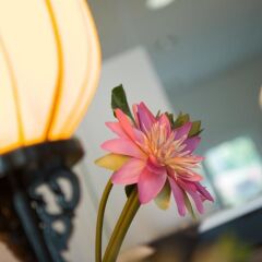 Отель Good Morning Berlin City West Германия, Берлин - 14 отзывов об отеле, цены и фото номеров - забронировать отель Good Morning Berlin City West онлайн фитнесс-зал
