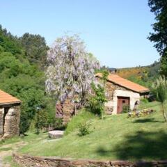 Отель Quinta Da Rabaçosa - Turismo Rural Кастро-Дайре фото 12