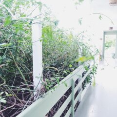 Отель Yucca Alacati Чешме балкон