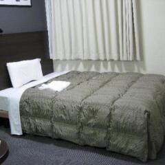 Comfort Hotel Tokyo Kanda комната для гостей фото 2