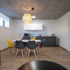 Отель 7 Ruzyně Apartments Чехия, Прага - отзывы, цены и фото номеров - забронировать отель 7 Ruzyně Apartments онлайн фото 7