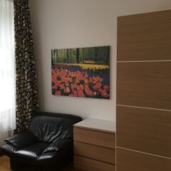 Отель AJO Apartments Messe Австрия, Вена - отзывы, цены и фото номеров - забронировать отель AJO Apartments Messe онлайн сауна