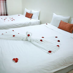 Avi Airport Hotel детские мероприятия