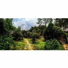 Olympos Village Ecologic Activity Hotel Кемер приотельная территория