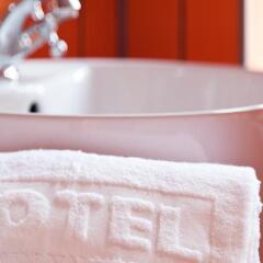 Blooms Boutique Hostel Познань ванная
