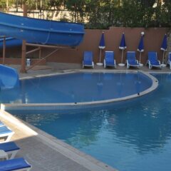 Palmiye Garden Hotel с домашними животными