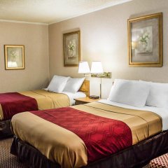 Отель Econo Lodge США, Оррвилл - отзывы, цены и фото номеров - забронировать отель Econo Lodge онлайн комната для гостей фото 3