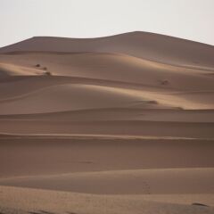Отель Kasbah Le Berger Марокко, Мерзуга - отзывы, цены и фото номеров - забронировать отель Kasbah Le Berger онлайн приотельная территория фото 2