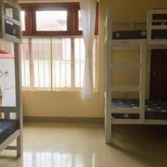 Отель Olive Tree Guest House сейф в номере
