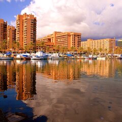 Отель Las Palmeras фото 4