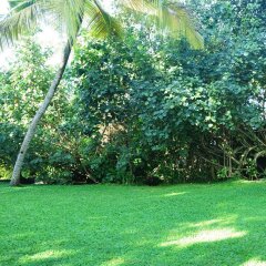 Отель Palm Beach Inn and Sea Shells Cabanas Шри-Ланка, Бентота - отзывы, цены и фото номеров - забронировать отель Palm Beach Inn and Sea Shells Cabanas онлайн фото 11