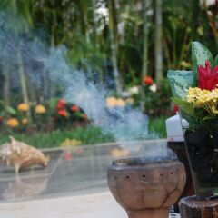 Отель Platinum Yucatan Princess Adults Only - Todo Incluido фото 5