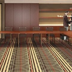 Отель Hyatt Place Amsterdam Airport Нидерланды, Хофддорп - 5 отзывов об отеле, цены и фото номеров - забронировать отель Hyatt Place Amsterdam Airport онлайн развлечения