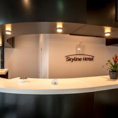 Skyline Hotel гостиничный бар