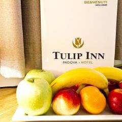 Отель Tulip Inn Padova Падуя в номере