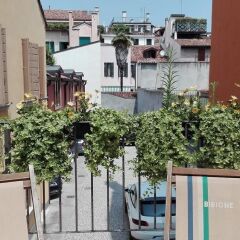 Отель Art Hotel Al Fagiano Италия, Падуя - отзывы, цены и фото номеров - забронировать отель Art Hotel Al Fagiano онлайн