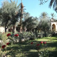 Отель Ksar Elkabbaba фото 4