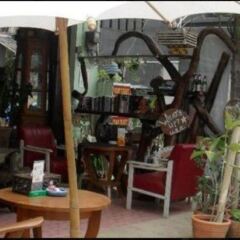 Отель Area 51 Guesthouse Таиланд, Краби - отзывы, цены и фото номеров - забронировать отель Area 51 Guesthouse онлайн питание фото 2