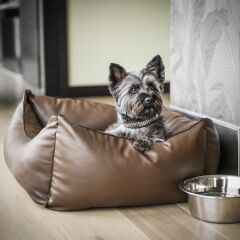Отель Hyatt Regency Düsseldorf Германия, Дюссельдорф - отзывы, цены и фото номеров - забронировать отель Hyatt Regency Düsseldorf онлайн с домашними животными