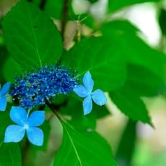Отель Okunoyu Минамиогуни фото 12