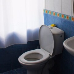 Отель Guest House Daskalov Боженци ванная