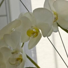 Отель Landhaus Altmuehltal интерьер отеля фото 2