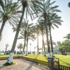 Отель Linhai Guest House Gulangyu Island Китай, Сямынь - отзывы, цены и фото номеров - забронировать отель Linhai Guest House Gulangyu Island онлайн детские мероприятия фото 2