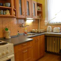 Апартаменты Apartment Letna I, II в номере фото 2