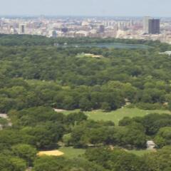 Отель Residence Inn by Marriott New York Manhattan/Central Park фото 4