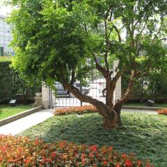 Отель Residence Le Corti