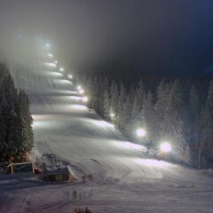 Отель Boutique Hotel Iva - Elena Болгария, Пампорово - отзывы, цены и фото номеров - забронировать отель Boutique Hotel Iva - Elena онлайн фото 29