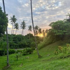 Отель Вилла Maravu Paradise Савусаву приотельная территория фото 2