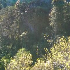 Отель Outeniquabosch Lodge пляж