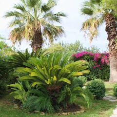 Отель B&B Residence L'isola che non c'è Фонтане-Бьянке фото 12