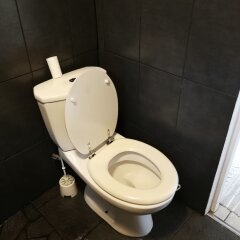 Отель Tahiti Lodge питание