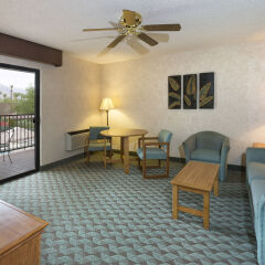 Отель Borrego Springs Resort and Spa комната для гостей фото 4